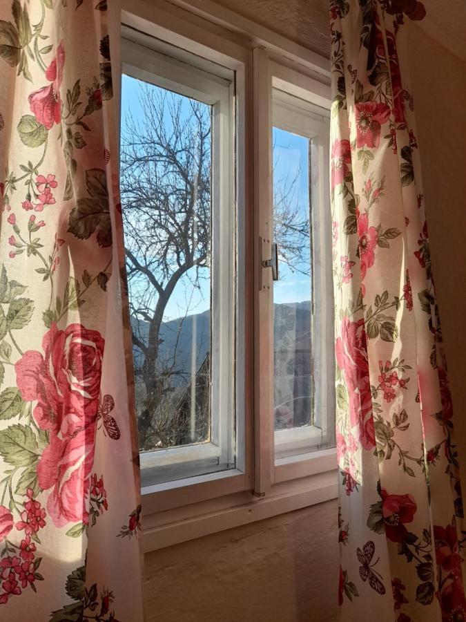 Kuca Za Odmor Kalina Villa Mokra Gora Buitenkant foto