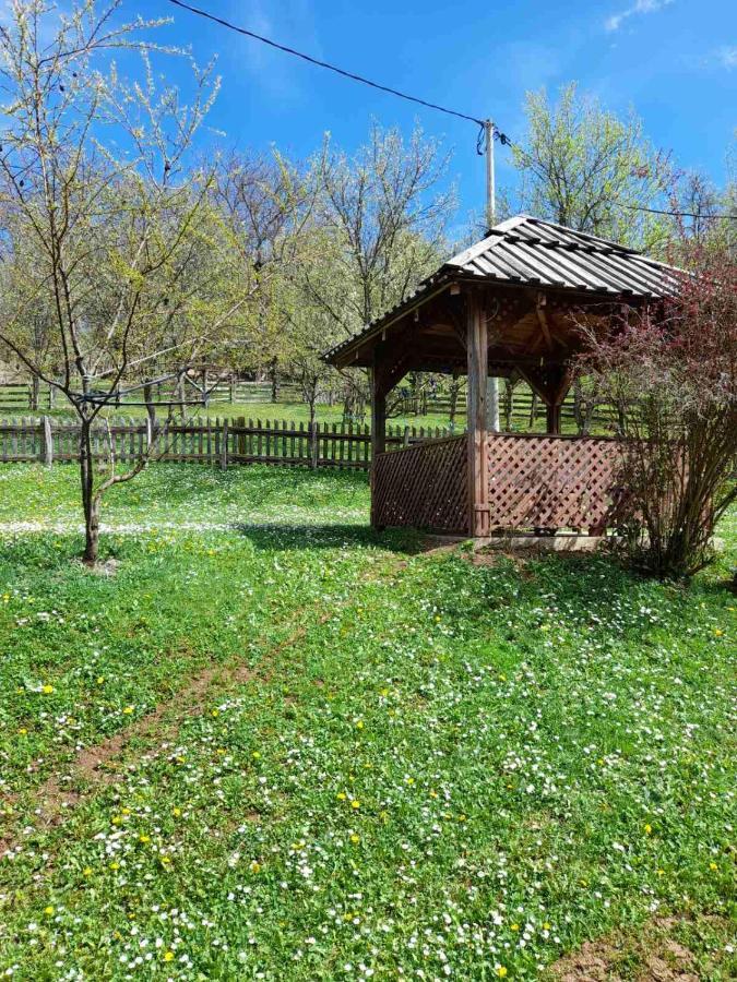 Kuca Za Odmor Kalina Villa Mokra Gora Buitenkant foto