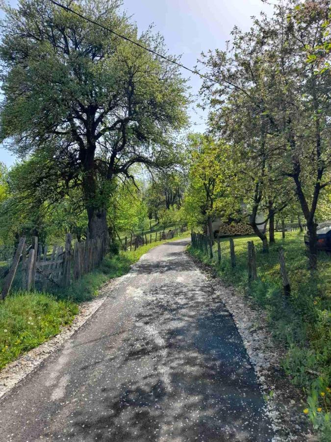 Kuca Za Odmor Kalina Villa Mokra Gora Buitenkant foto