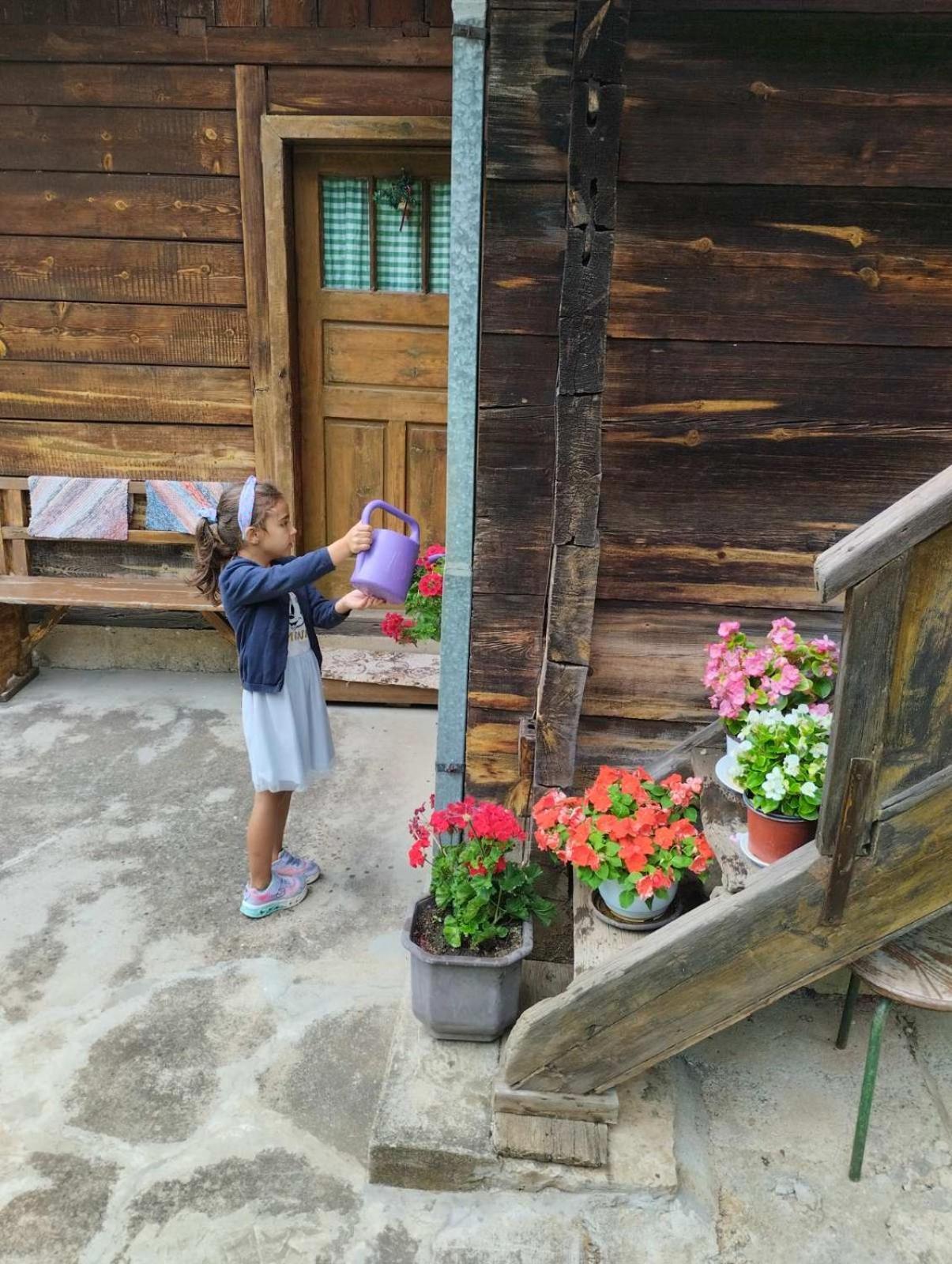 Kuca Za Odmor Kalina Villa Mokra Gora Kamer foto